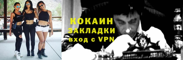 ПСИЛОЦИБИНОВЫЕ ГРИБЫ Гусь-Хрустальный