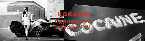 ПСИЛОЦИБИНОВЫЕ ГРИБЫ Гусь-Хрустальный