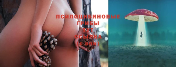 а пвп мука Гусев