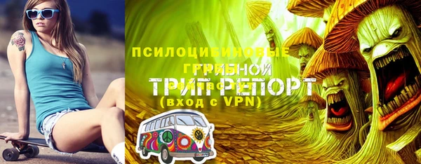 ГАЛЛЮЦИНОГЕННЫЕ ГРИБЫ Гусиноозёрск