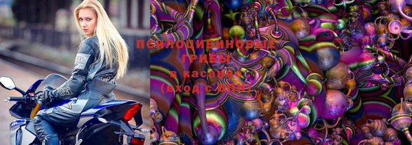 ГАЛЛЮЦИНОГЕННЫЕ ГРИБЫ Гусиноозёрск