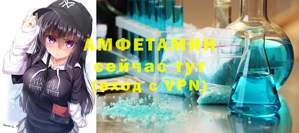 ПСИЛОЦИБИНОВЫЕ ГРИБЫ Гусь-Хрустальный