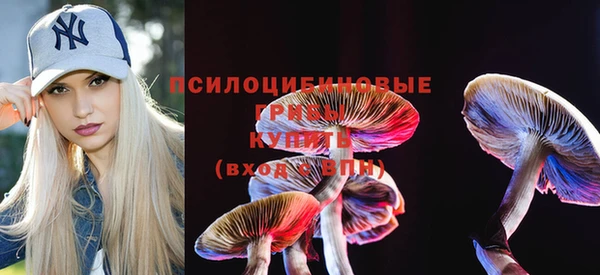 ПСИЛОЦИБИНОВЫЕ ГРИБЫ Гусь-Хрустальный