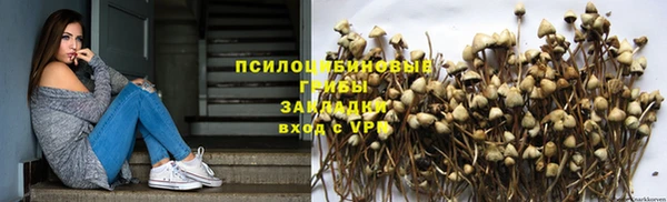 ПСИЛОЦИБИНОВЫЕ ГРИБЫ Гусь-Хрустальный