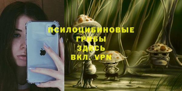 а пвп мука Гусев