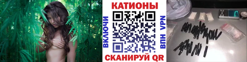 Меф мяу мяу  Купить закладки  Саров 